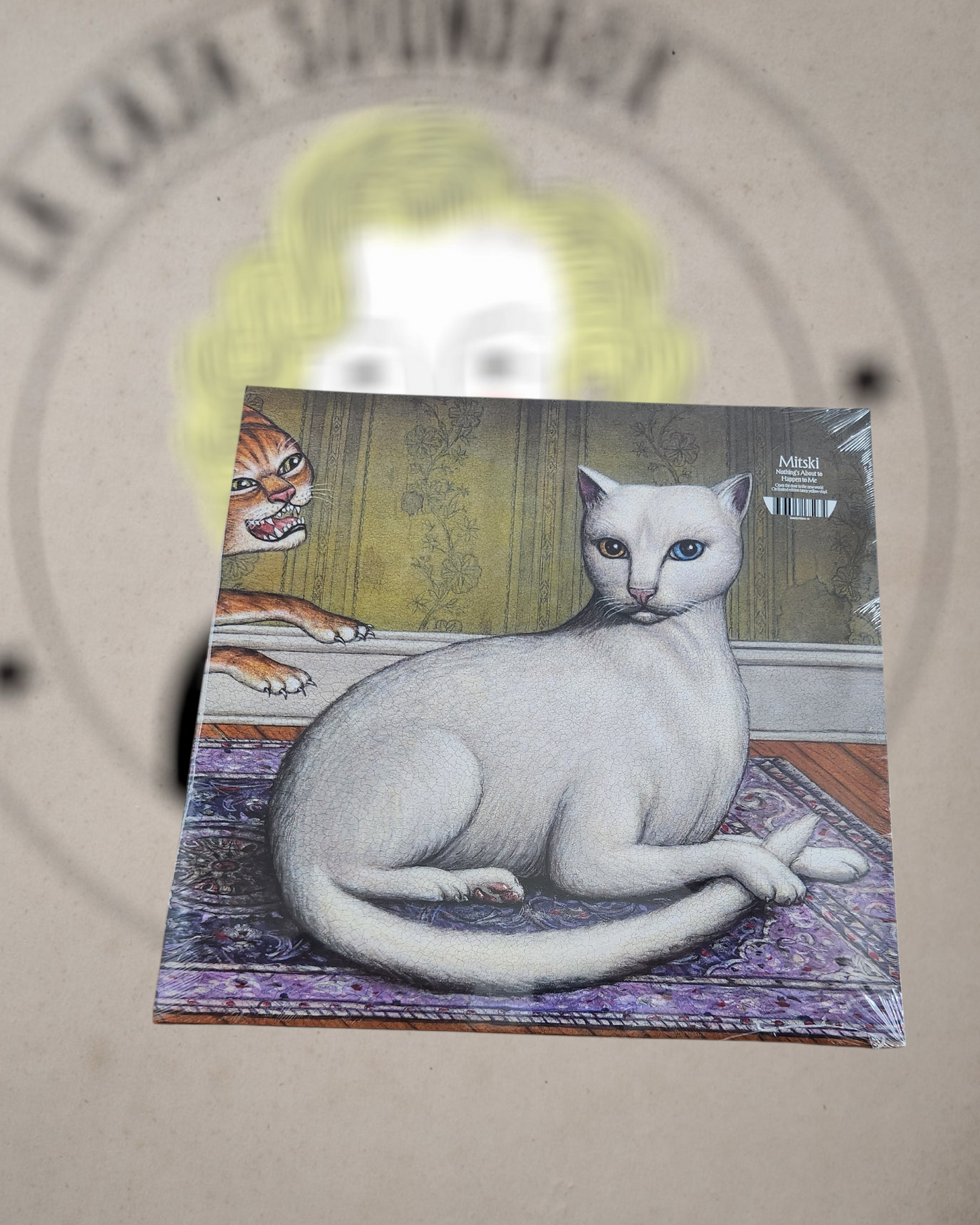 MITSKI - NOTHING'S ABOUT TO HAPPEN TO ME