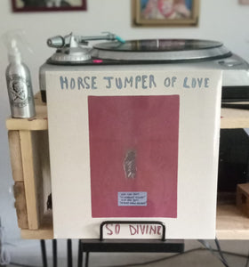 HORSE JUMPER OF LOVE - SO DIVINE