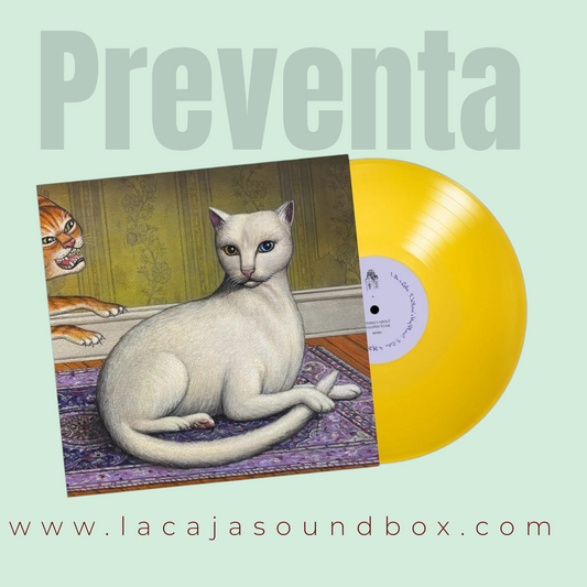 MITSKI - NOTHING'S ABOUT TO HAPPEN TO ME