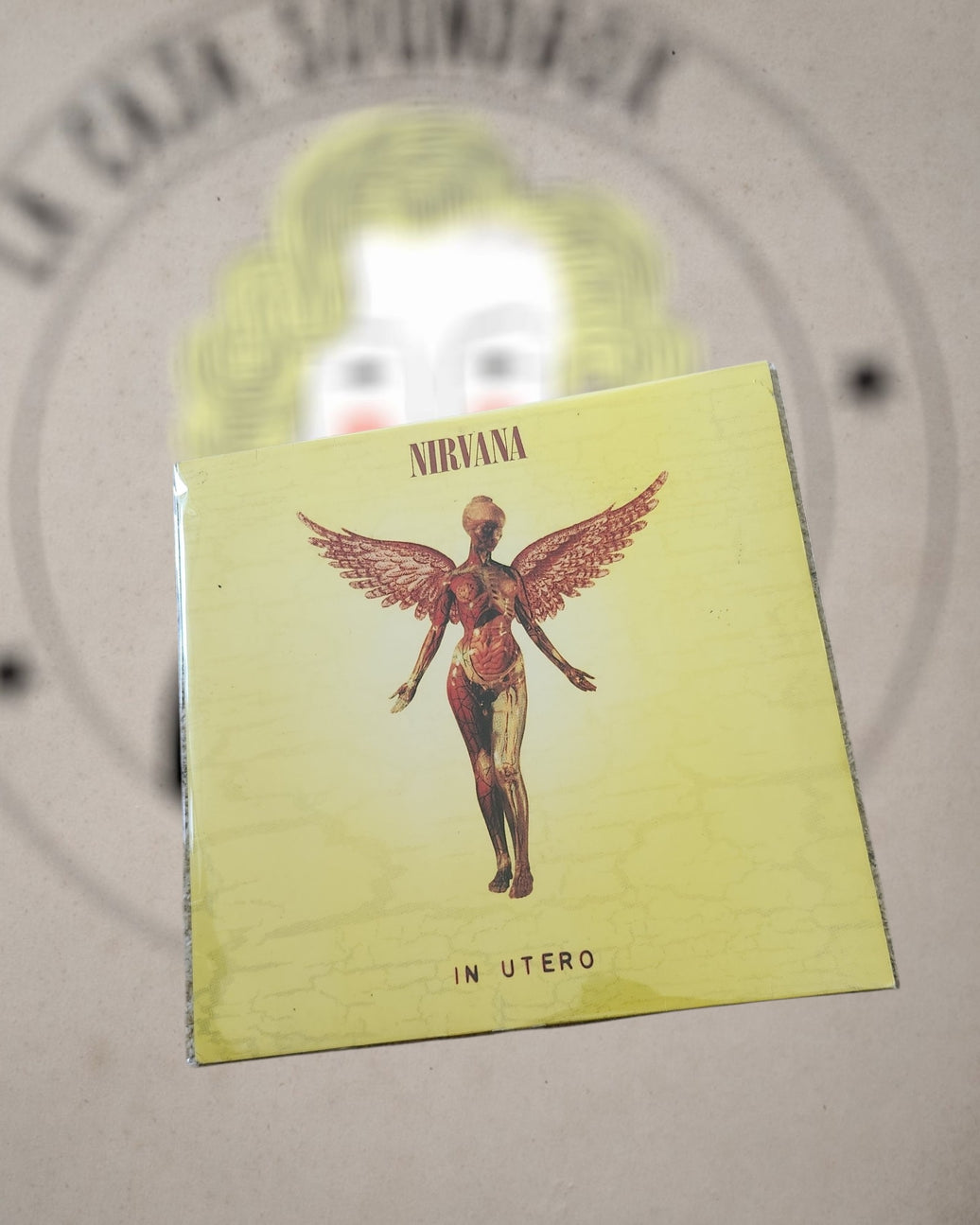 NIRVANA - IN UTERO