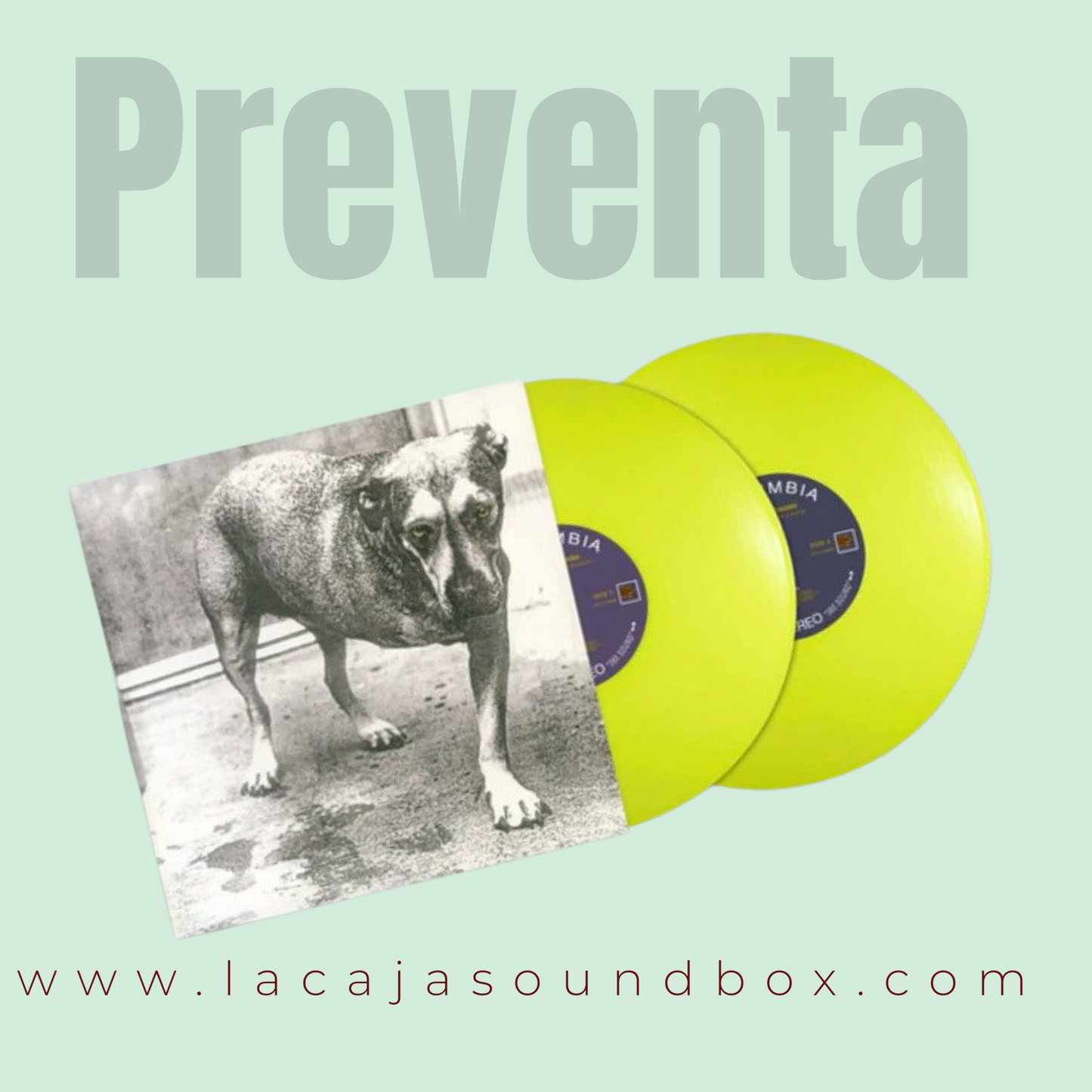 ALICE IN CHAINS - ALICE IN CHAINS