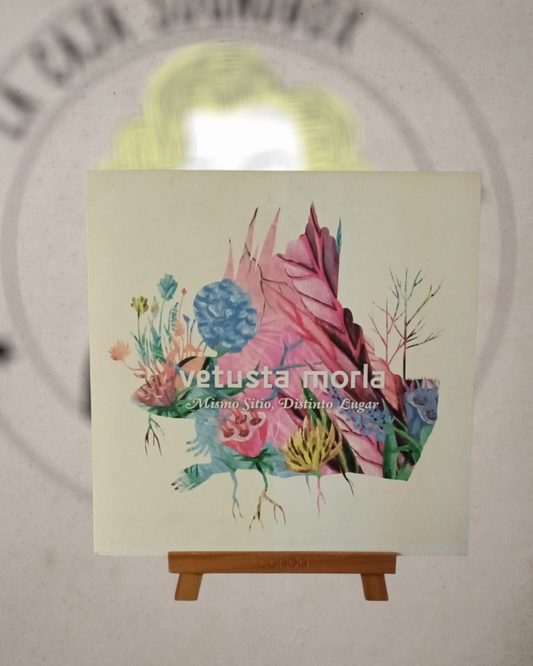 VETUSTA MORLA - MISMO SITIO, DISTINTO LUGAR