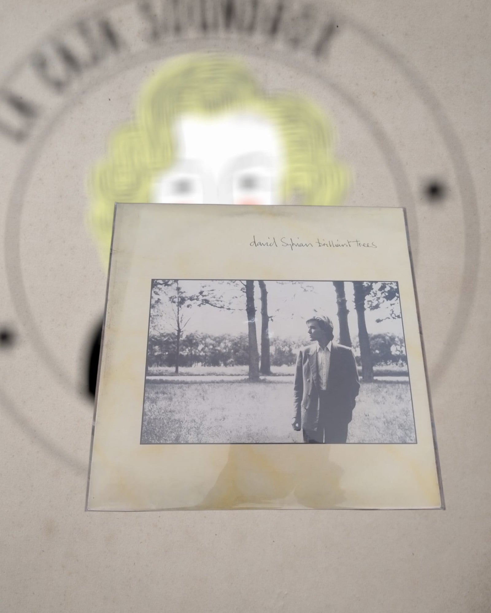 DAVID SYLVIAN - BRILLIANT TREES