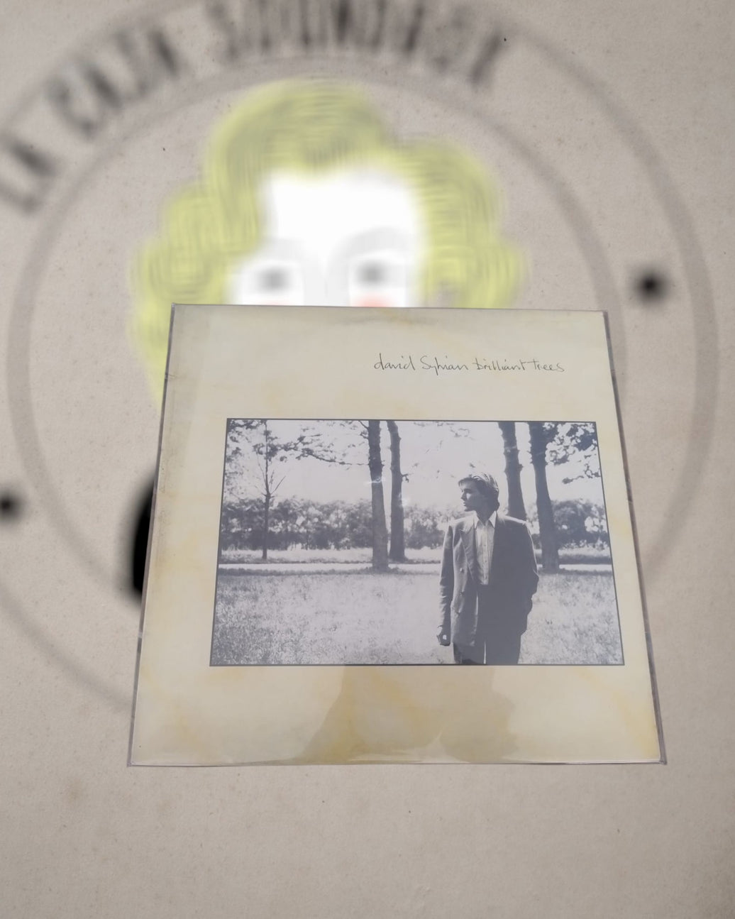 DAVID SYLVIAN - BRILLIANT TREES