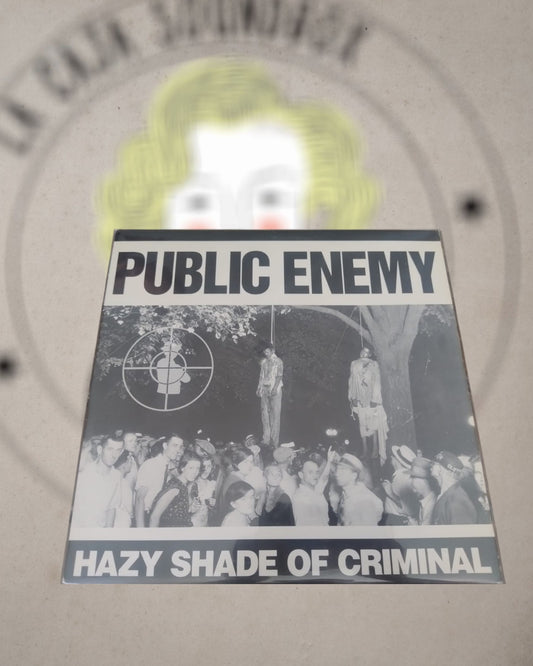 PUBLIC ENEMY - HAZY SHADE OF CRIMINAL